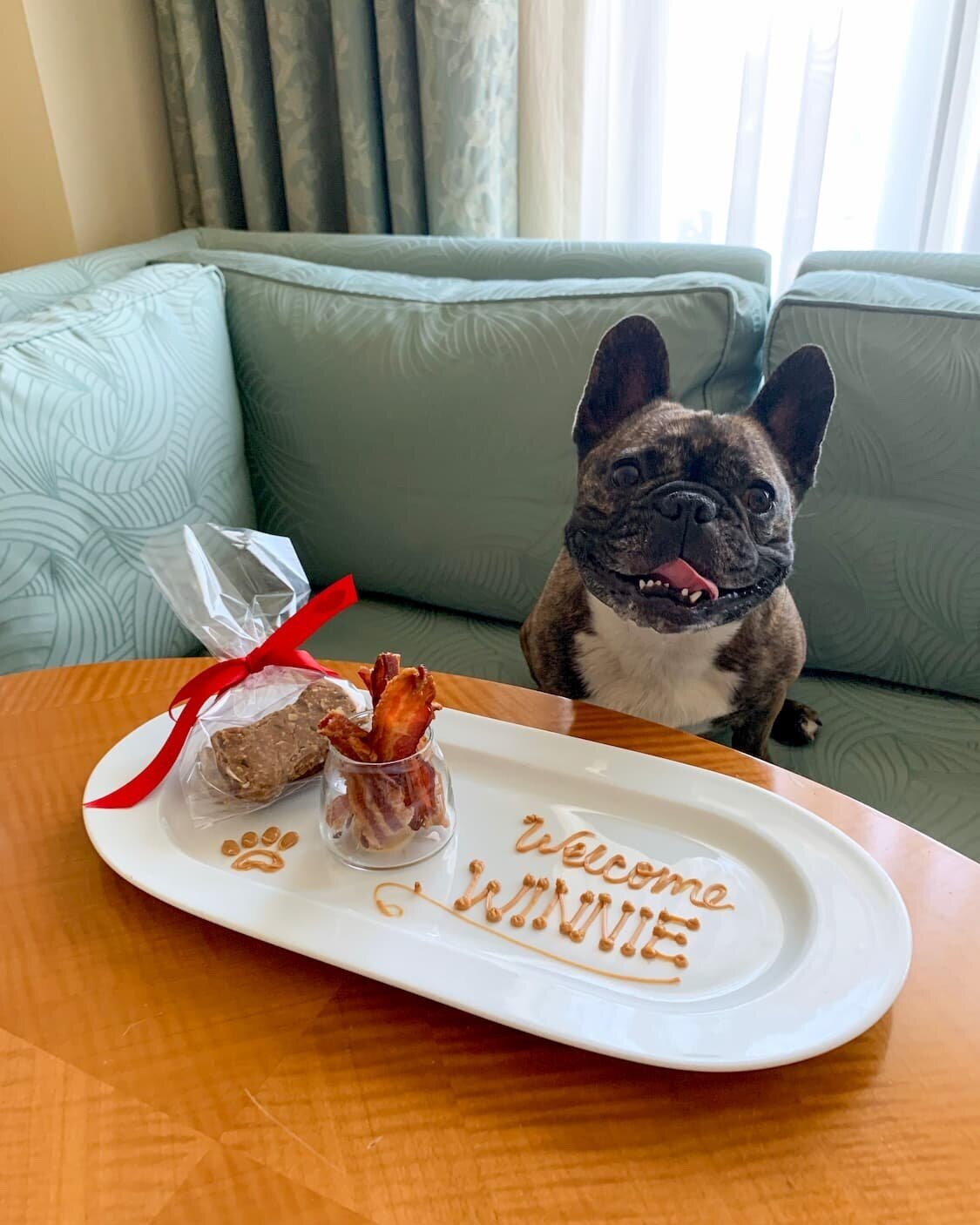 Rd.com knowledge grammar & spelling every editorial product is independently selected, though we may be compensated or receive an affiliate co. The Best Dog Friendly Vacations In New England According To Dogs Tiny Trips