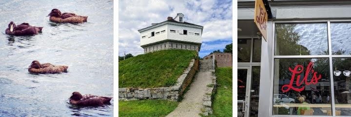 Jul 01, 2021 · another day trip option is to take a ferry to vinalhaven, which is known for its beautiful scenery, rocky coast, and granite quarries. How To Make The Most Of A Quick Trip From Boston To Portland Maine In The Summer