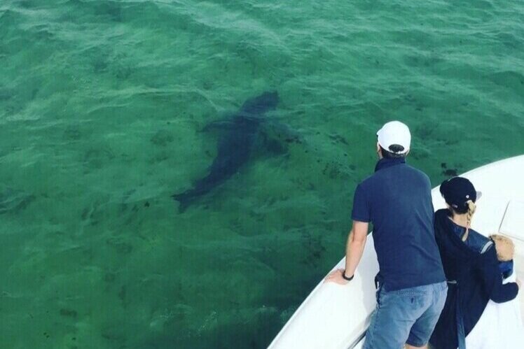 Charming villages, cape cod national seashore, eastham windmill and cape cod lighthouse. White Tours Expeditions On Cape Cod Awsc