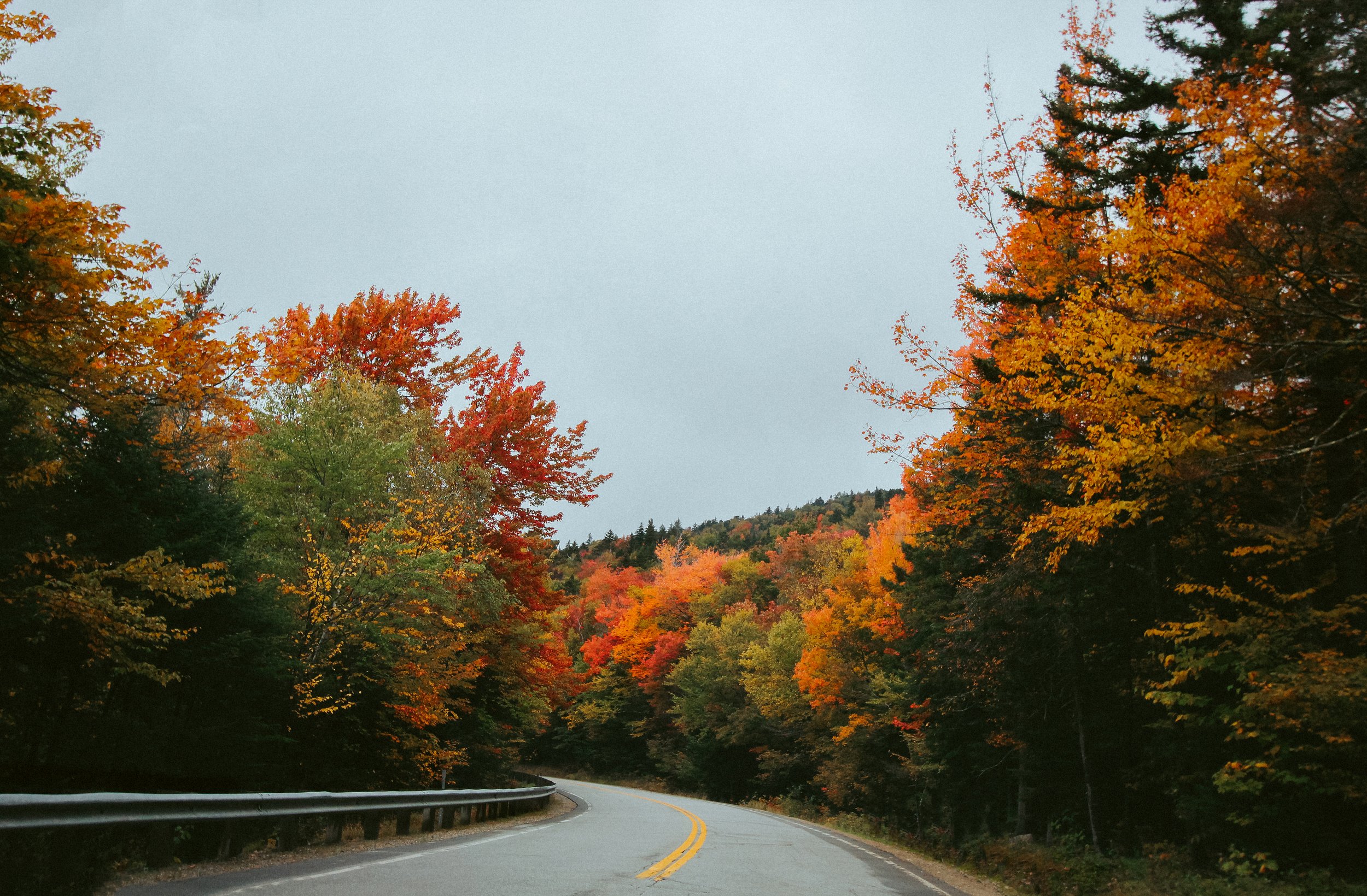 Book the best day trips from boston, ma directly on tripadvisor and take the stress out of planning. Travel Wander Wilde