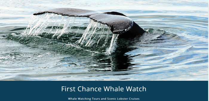 4 Day Trip To Maine&nbsp;Packages