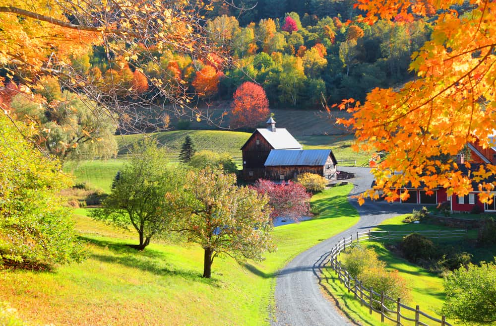 33+ Foliage Day Trips From Boston Packages